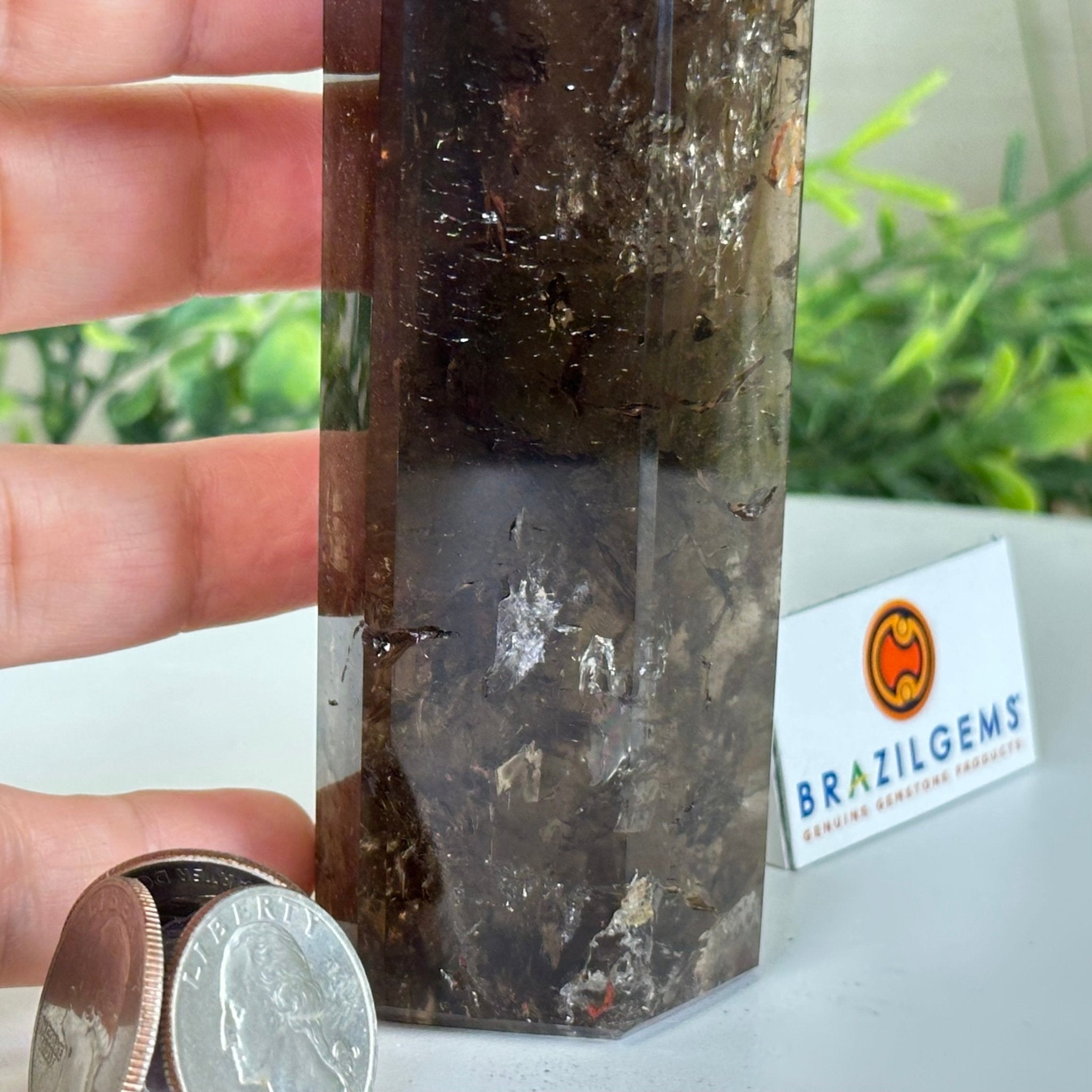 Polished Smoky Quartz Crystal Tower 6.6" Tall #3106SQ - 002 - Brazil GemsBrazil GemsPolished Smoky Quartz Crystal Tower 6.6" Tall #3106SQ - 002Crystal Points3106SQ - 002