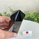 Polished Smoky Quartz Crystal Tower 6.6" Tall #3106SQ - 002 - Brazil GemsBrazil GemsPolished Smoky Quartz Crystal Tower 6.6" Tall #3106SQ - 002Crystal Points3106SQ - 002