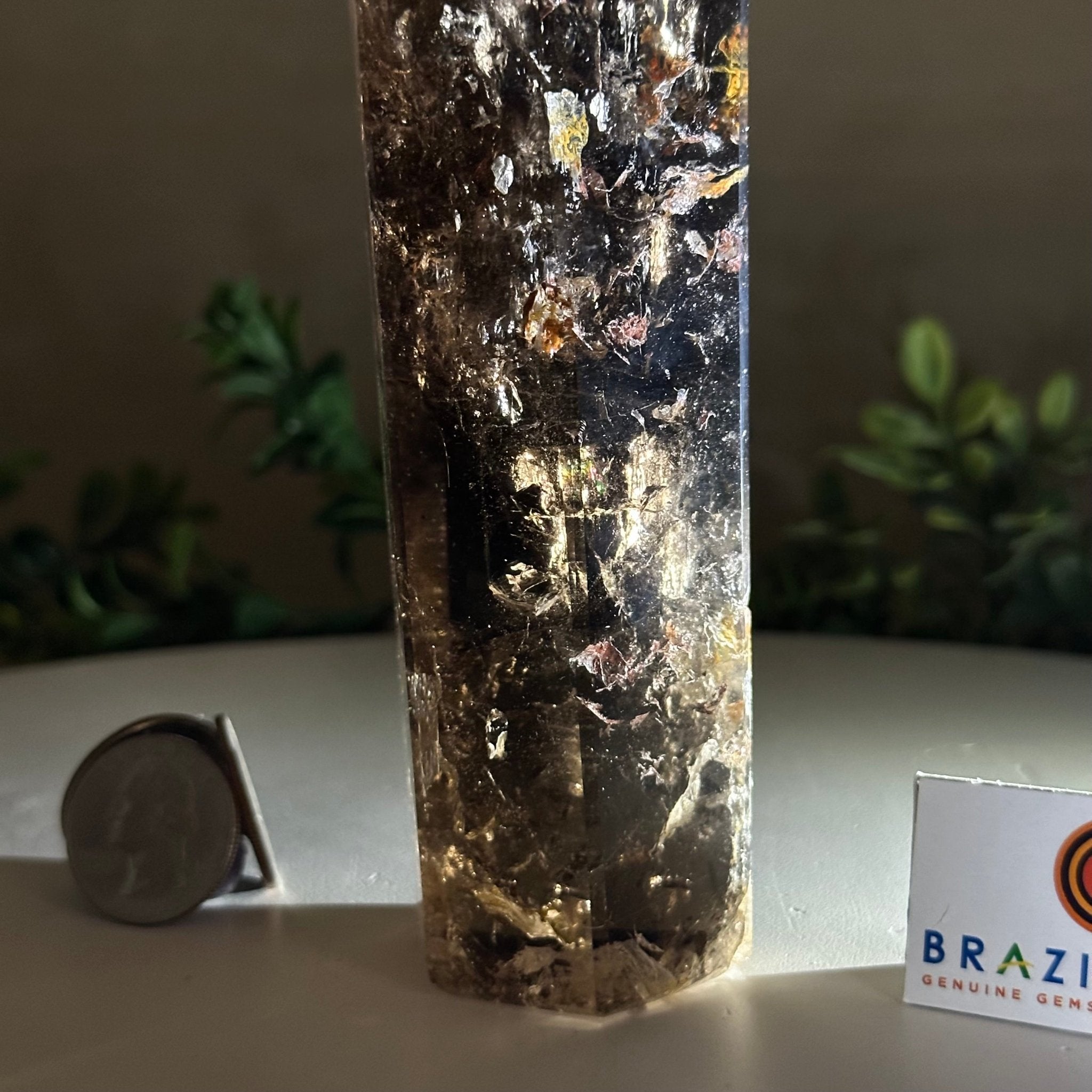 Polished Smoky Quartz Crystal Tower 6.6" Tall #3106SQ - 002 - Brazil GemsBrazil GemsPolished Smoky Quartz Crystal Tower 6.6" Tall #3106SQ - 002Crystal Points3106SQ - 002
