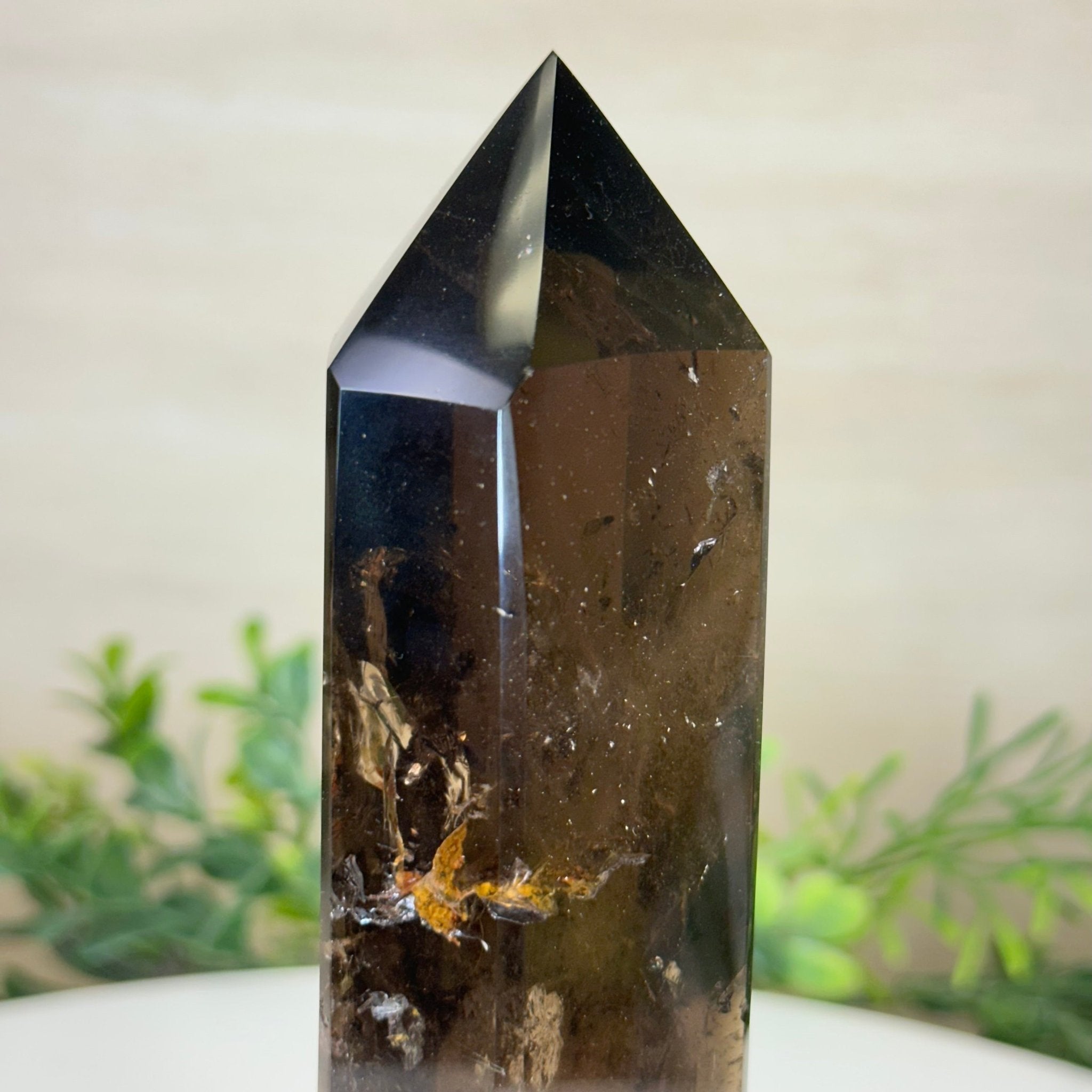 Polished Smoky Quartz Crystal Tower 6.6" Tall #3106SQ - 002 - Brazil GemsBrazil GemsPolished Smoky Quartz Crystal Tower 6.6" Tall #3106SQ - 002Crystal Points3106SQ - 002