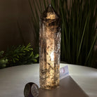 Polished Smoky Quartz Crystal Tower 6.6" Tall #3106SQ - 002 - Brazil GemsBrazil GemsPolished Smoky Quartz Crystal Tower 6.6" Tall #3106SQ - 002Crystal Points3106SQ - 002