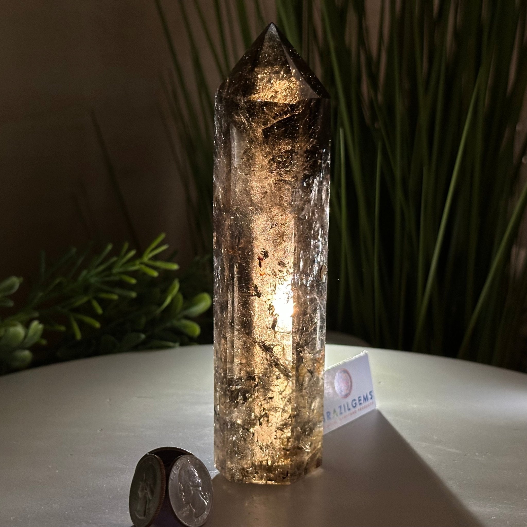 Polished Smoky Quartz Crystal Tower 6.6" Tall #3106SQ - 002 - Brazil GemsBrazil GemsPolished Smoky Quartz Crystal Tower 6.6" Tall #3106SQ - 002Crystal Points3106SQ - 002