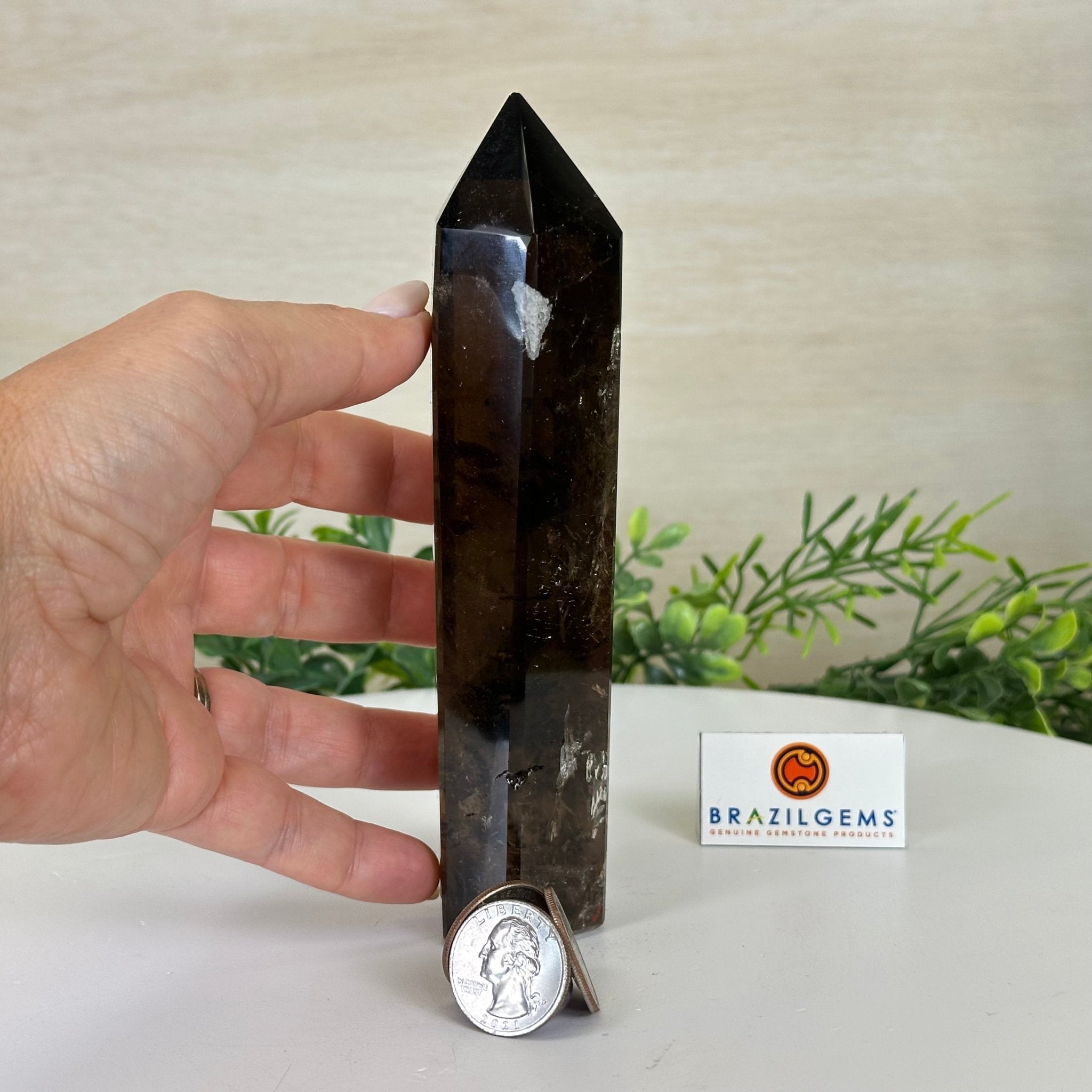 Polished Smoky Quartz Crystal Tower 6.6" Tall #3106SQ - 002 - Brazil GemsBrazil GemsPolished Smoky Quartz Crystal Tower 6.6" Tall #3106SQ - 002Crystal Points3106SQ - 002