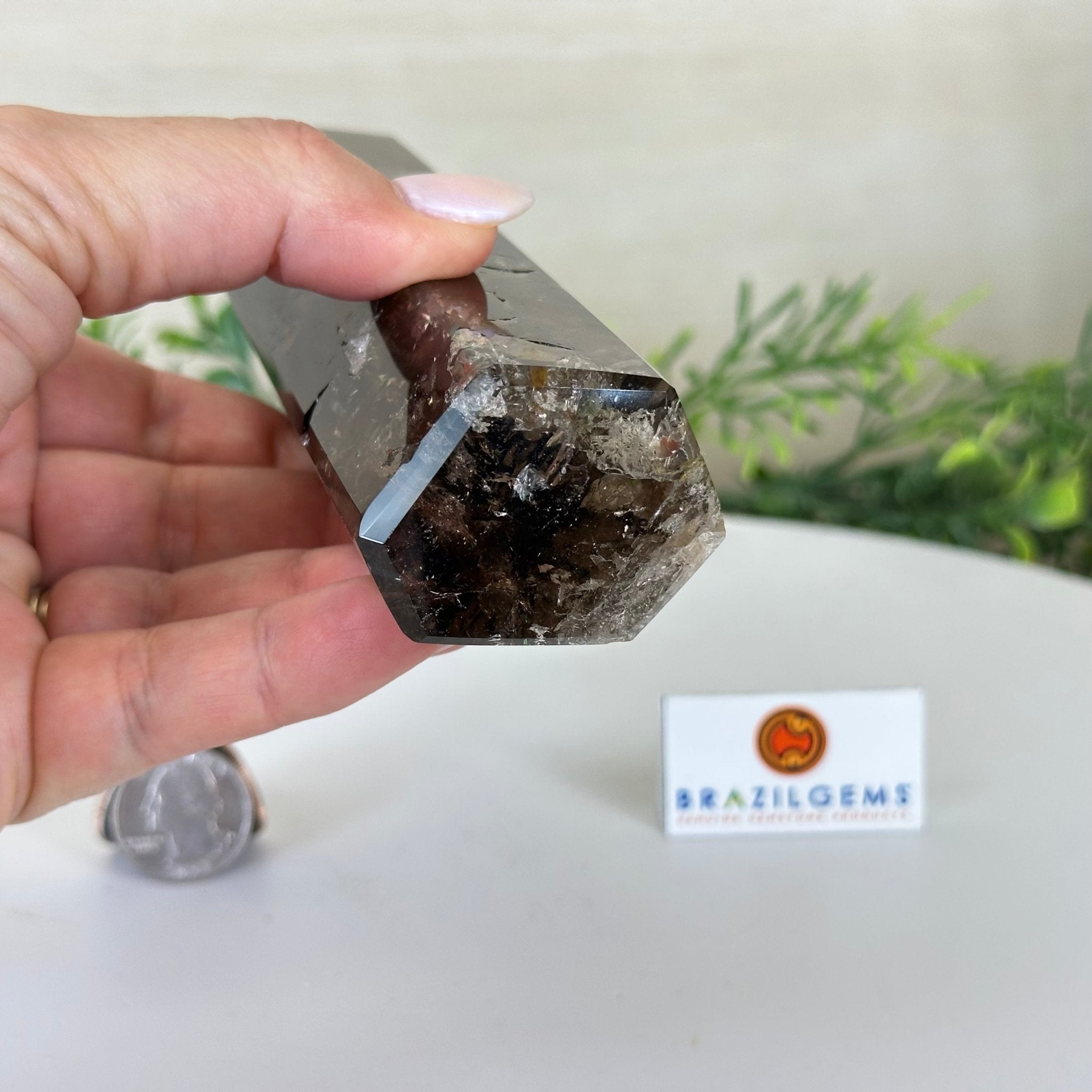 Polished Smoky Quartz Crystal Tower 6.6" Tall #3106SQ - 002 - Brazil GemsBrazil GemsPolished Smoky Quartz Crystal Tower 6.6" Tall #3106SQ - 002Crystal Points3106SQ - 002