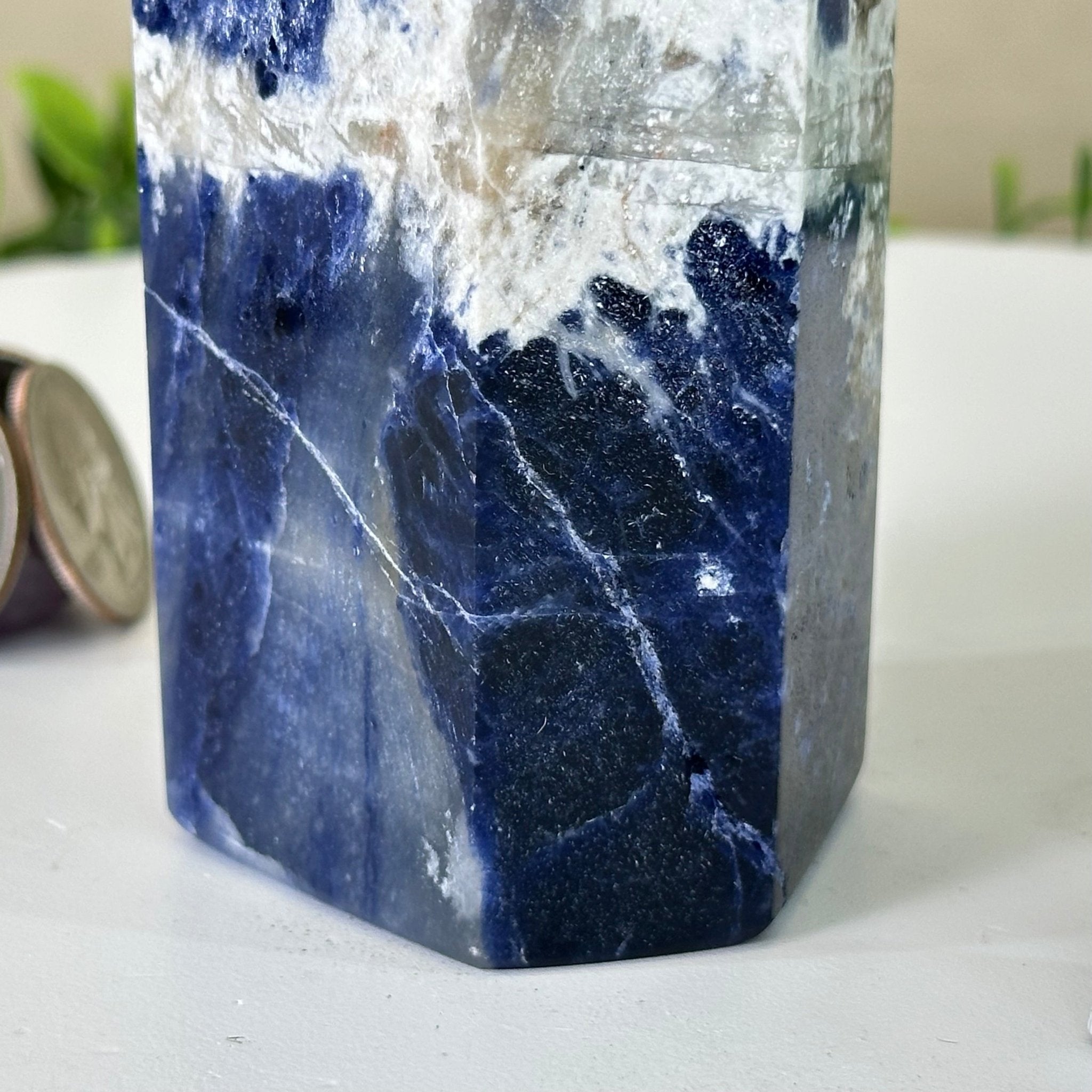 Polished Sodalite Crystal Tower 4.9" Tall #3106SO - 003 - Brazil GemsBrazil GemsPolished Sodalite Crystal Tower 4.9" Tall #3106SO - 003Crystal Points3106SO - 003