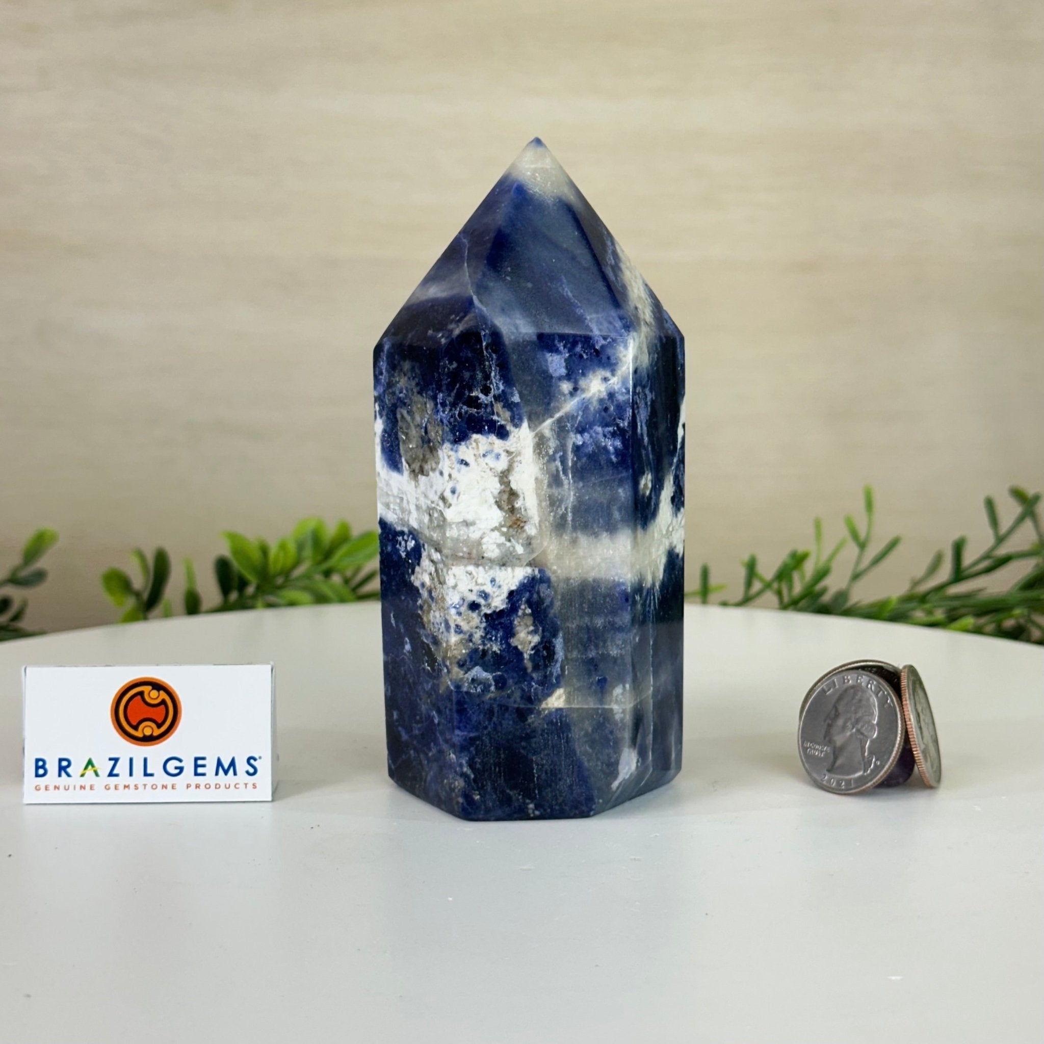 Polished Sodalite Crystal Tower 4.9" Tall #3106SO - 003 - Brazil GemsBrazil GemsPolished Sodalite Crystal Tower 4.9" Tall #3106SO - 003Crystal Points3106SO - 003