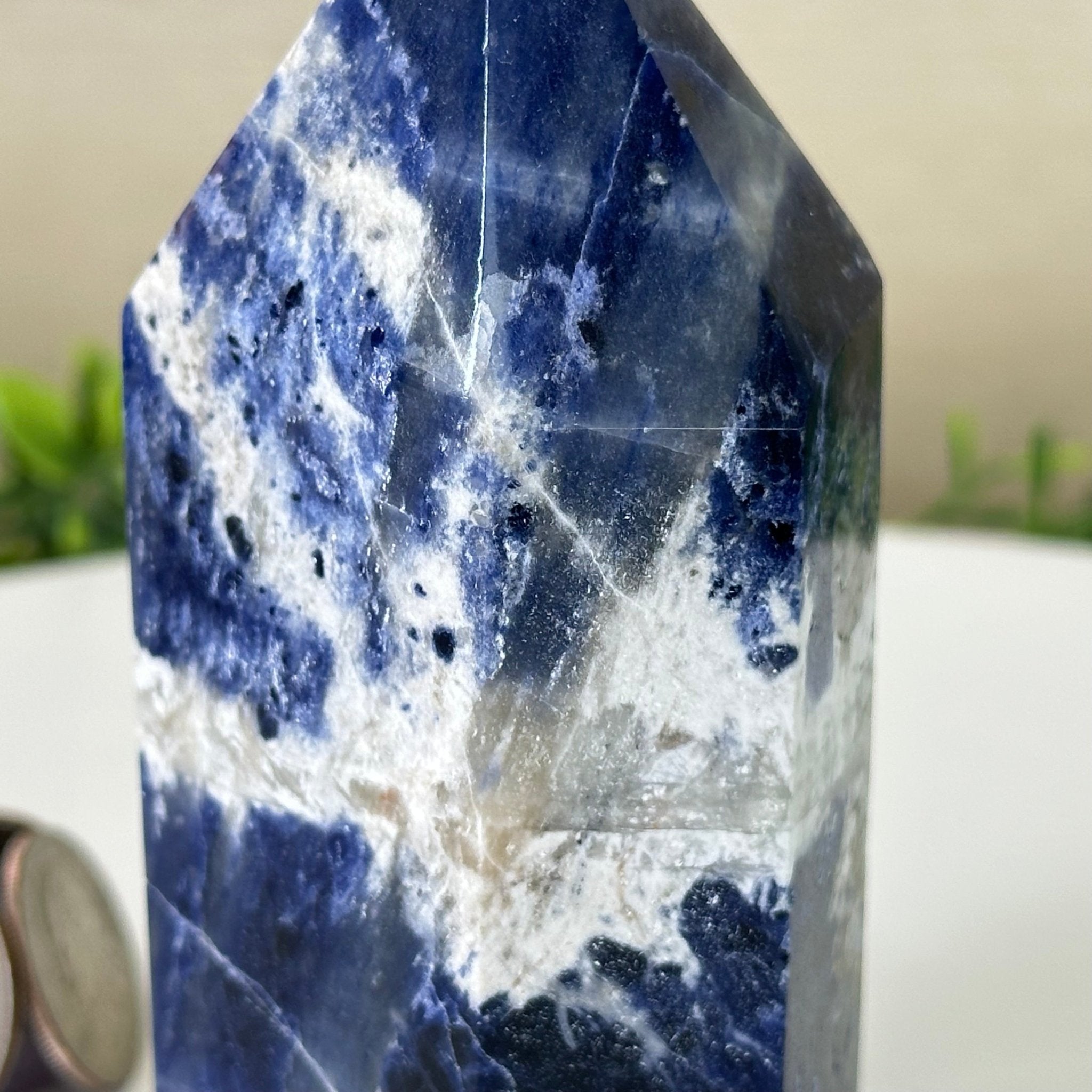 Polished Sodalite Crystal Tower 4.9" Tall #3106SO - 003 - Brazil GemsBrazil GemsPolished Sodalite Crystal Tower 4.9" Tall #3106SO - 003Crystal Points3106SO - 003