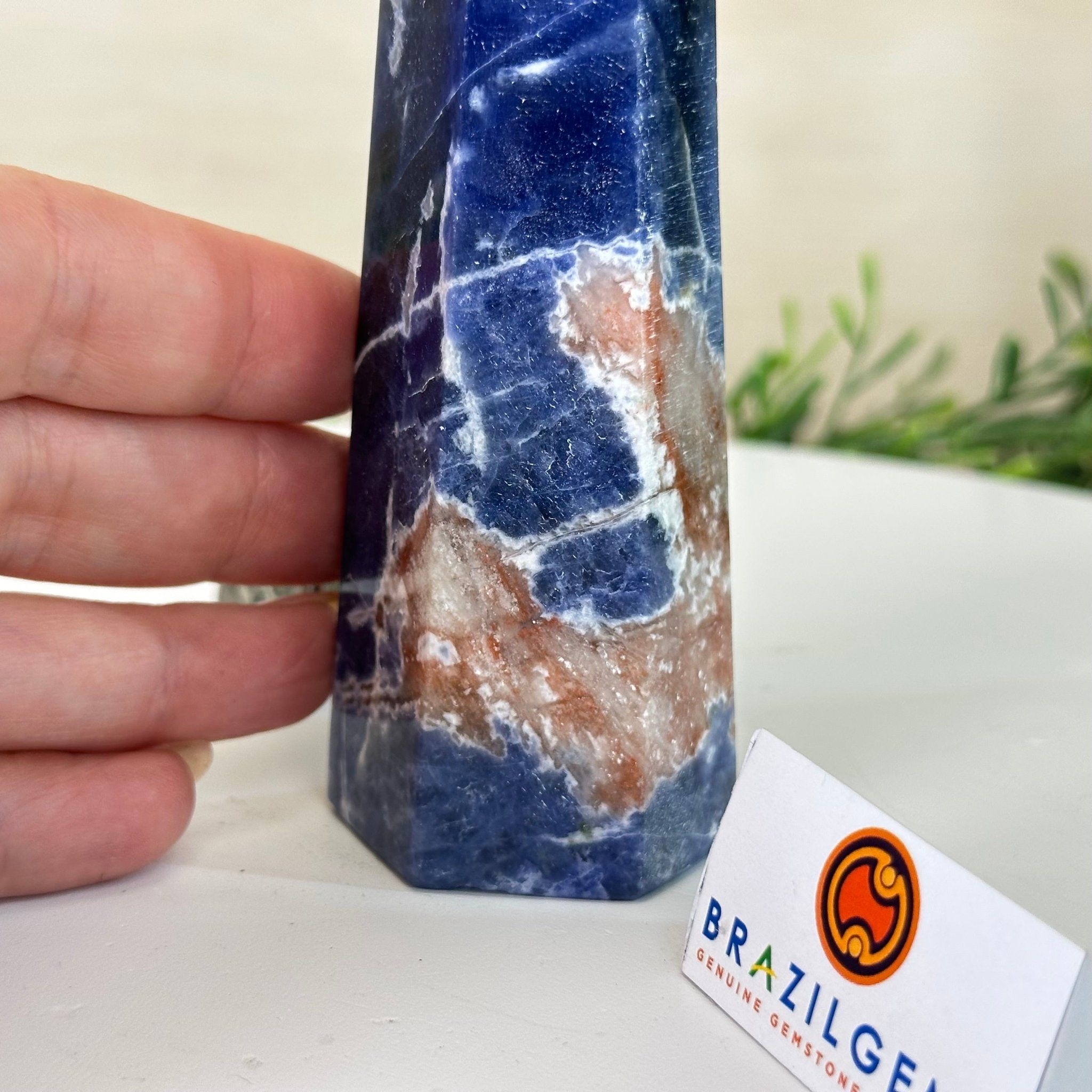 Polished Sodalite Crystal Tower 5.7" Tall #3106SO - 002 - Brazil GemsBrazil GemsPolished Sodalite Crystal Tower 5.7" Tall #3106SO - 002Crystal Points3106SO - 002