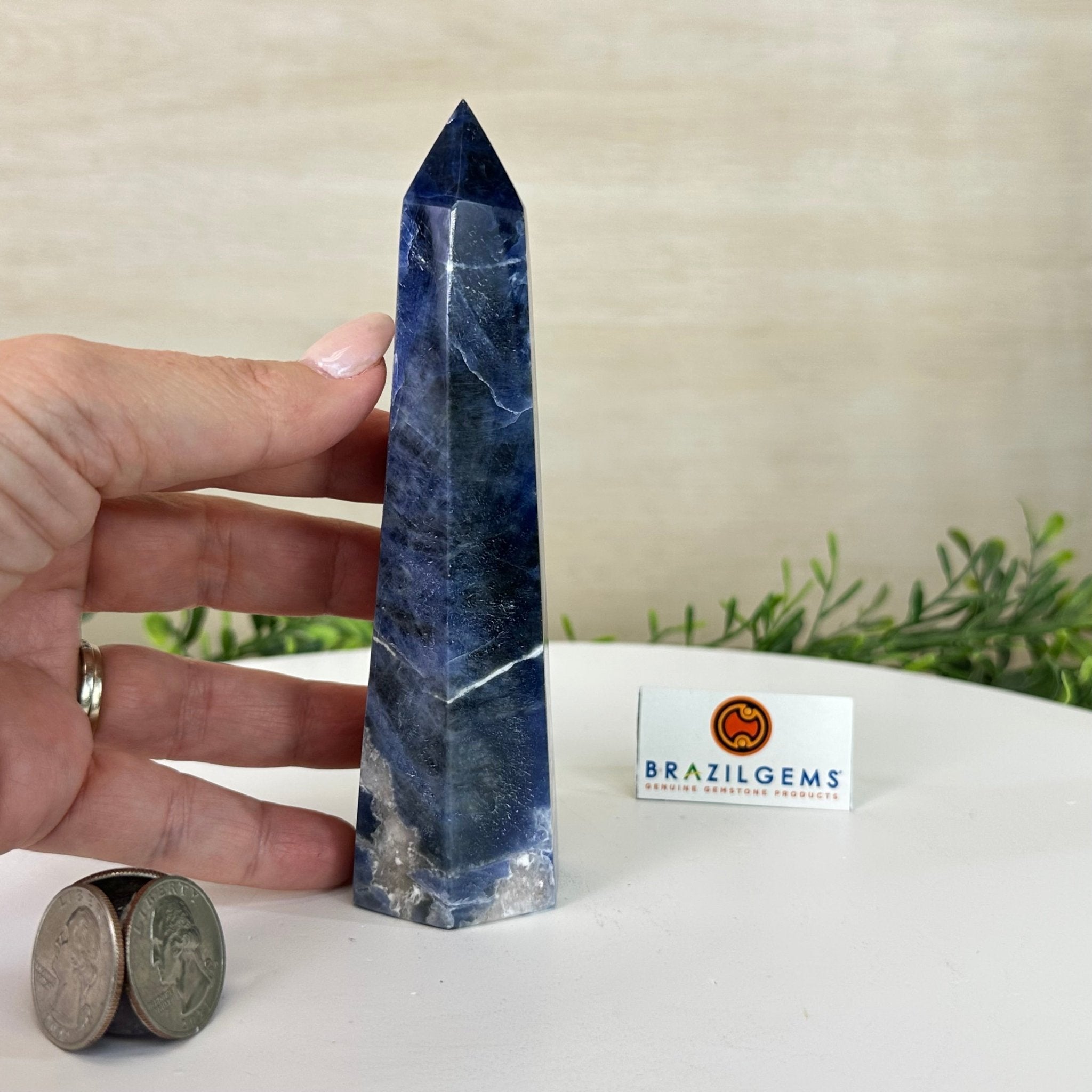Polished Sodalite Crystal Tower 5.7" Tall #3106SO - 002 - Brazil GemsBrazil GemsPolished Sodalite Crystal Tower 5.7" Tall #3106SO - 002Crystal Points3106SO - 002