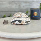 Quality Agate Geode "Jewelry Box", 1.7 lbs & 2.7" Tall #5251-0004 - Brazil GemsBrazil GemsQuality Agate Geode "Jewelry Box", 1.7 lbs & 2.7" Tall #5251-0004Agate Jewelry Boxes5251-0004