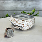 Quality Agate Geode "Jewelry Box", 1.7 lbs & 2.7" Tall #5251-0004 - Brazil GemsBrazil GemsQuality Agate Geode "Jewelry Box", 1.7 lbs & 2.7" Tall #5251-0004Agate Jewelry Boxes5251-0004