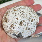 Quality Agate Geode "Jewelry Box", 1.7 lbs & 2.7" Tall #5251-0004 - Brazil GemsBrazil GemsQuality Agate Geode "Jewelry Box", 1.7 lbs & 2.7" Tall #5251-0004Agate Jewelry Boxes5251-0004