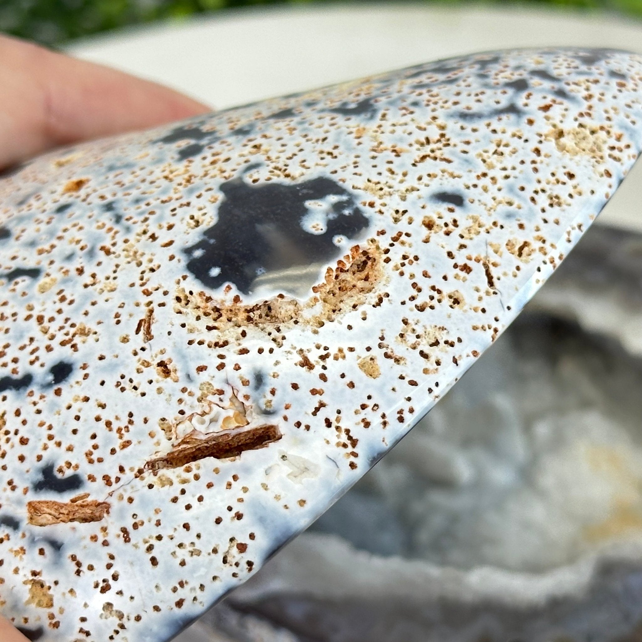 Quality Agate Geode "Jewelry Box", 3.6 lbs & 3.5" Tall #5251-0007 - Brazil GemsBrazil GemsQuality Agate Geode "Jewelry Box", 3.6 lbs & 3.5" Tall #5251-0007Agate Jewelry Boxes5251-0007