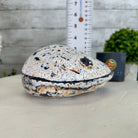 Quality Agate Geode "Jewelry Box", 3.6 lbs & 3.5" Tall #5251-0007 - Brazil GemsBrazil GemsQuality Agate Geode "Jewelry Box", 3.6 lbs & 3.5" Tall #5251-0007Agate Jewelry Boxes5251-0007