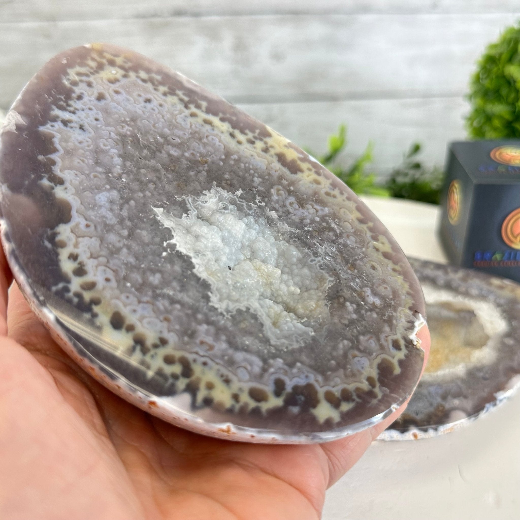 Quality Agate Geode "Jewelry Box", 3.6 lbs & 3.5" Tall #5251-0007 - Brazil GemsBrazil GemsQuality Agate Geode "Jewelry Box", 3.6 lbs & 3.5" Tall #5251-0007Agate Jewelry Boxes5251-0007