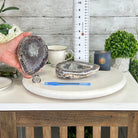 Quality Agate Geode "Jewelry Box", 3.6 lbs & 3.5" Tall #5251-0007 - Brazil GemsBrazil GemsQuality Agate Geode "Jewelry Box", 3.6 lbs & 3.5" Tall #5251-0007Agate Jewelry Boxes5251-0007