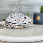 Quality Agate Geode "Jewelry Box", 3.6 lbs & 3.5" Tall #5251-0007 - Brazil GemsBrazil GemsQuality Agate Geode "Jewelry Box", 3.6 lbs & 3.5" Tall #5251-0007Agate Jewelry Boxes5251-0007