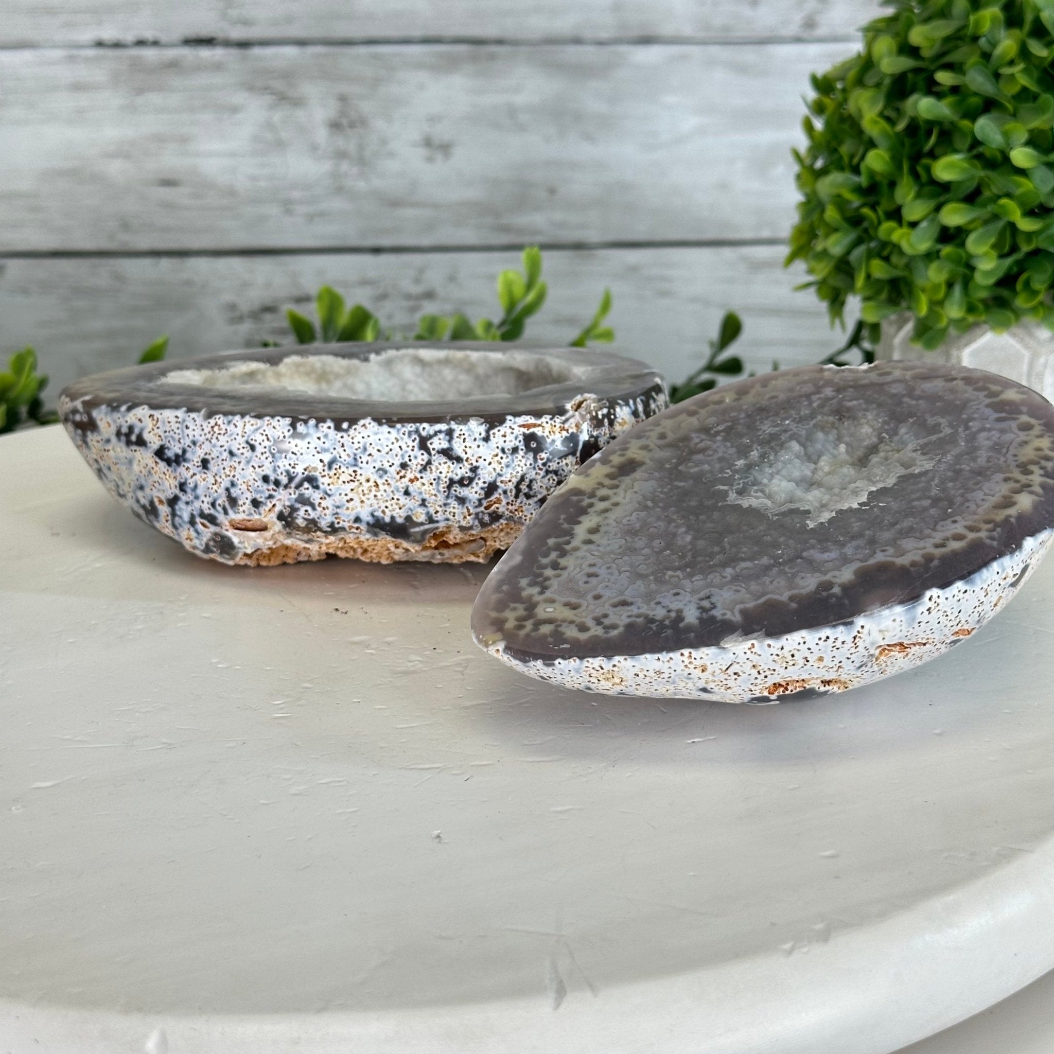 Quality Agate Geode "Jewelry Box", 3.6 lbs & 3.5" Tall #5251-0007 - Brazil GemsBrazil GemsQuality Agate Geode "Jewelry Box", 3.6 lbs & 3.5" Tall #5251-0007Agate Jewelry Boxes5251-0007