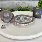 Quality Agate Geode "Jewelry Box", 3.6 lbs & 3.5" Tall #5251-0007 - Brazil GemsBrazil GemsQuality Agate Geode "Jewelry Box", 3.6 lbs & 3.5" Tall #5251-0007Agate Jewelry Boxes5251-0007