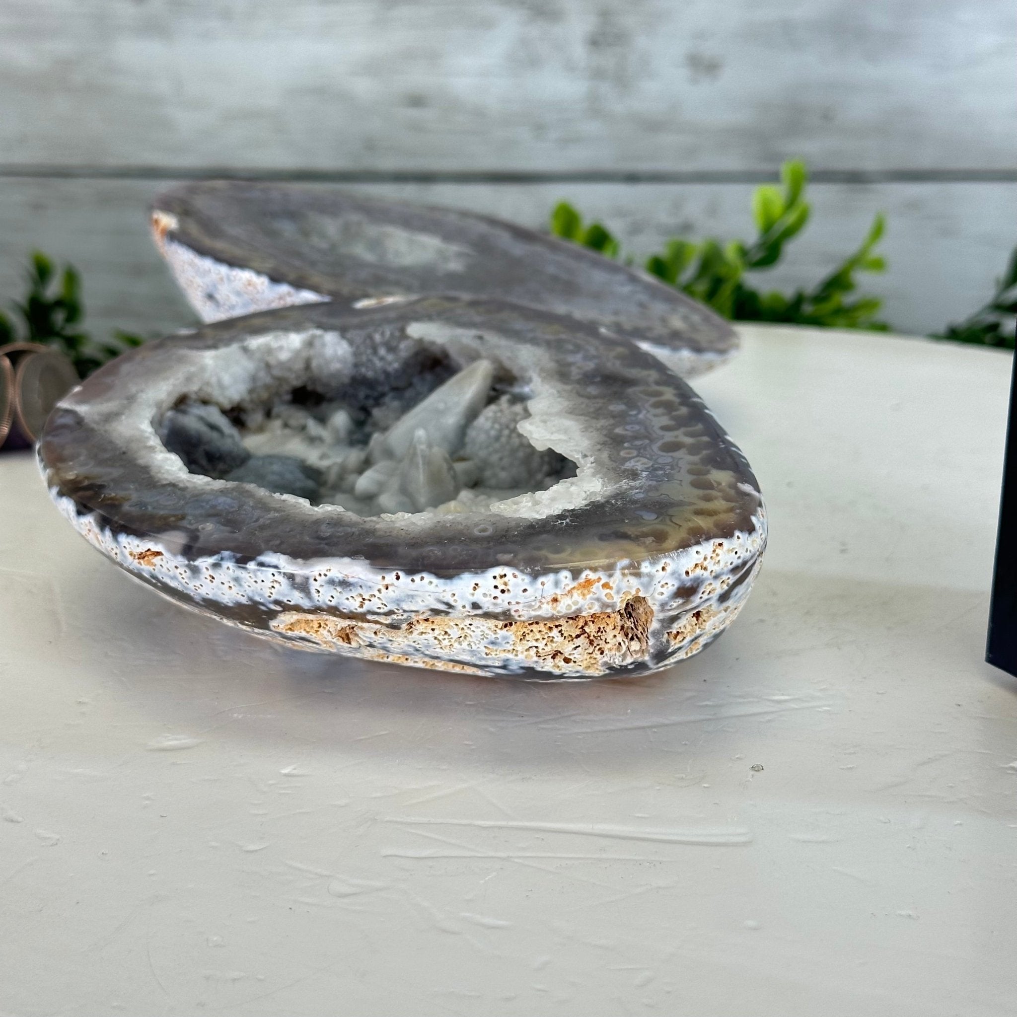 Quality Agate Geode "Jewelry Box", 3.6 lbs & 3.5" Tall #5251-0007 - Brazil GemsBrazil GemsQuality Agate Geode "Jewelry Box", 3.6 lbs & 3.5" Tall #5251-0007Agate Jewelry Boxes5251-0007