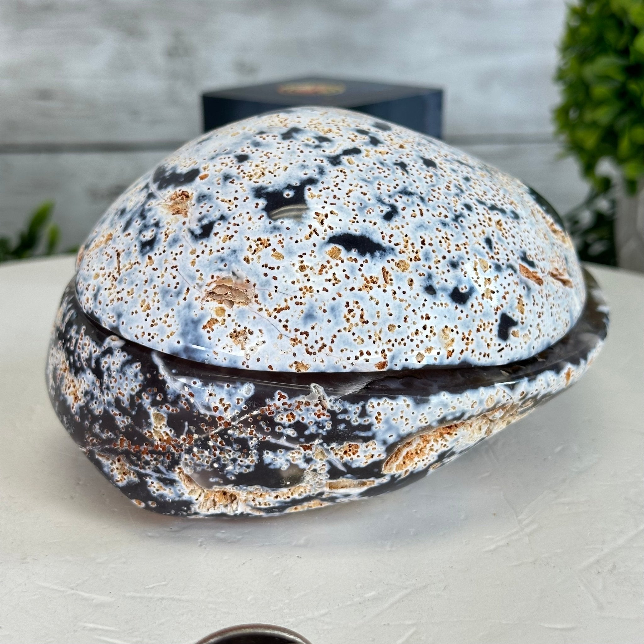 Quality Agate Geode "Jewelry Box", 3.6 lbs & 3.5" Tall #5251-0007 - Brazil GemsBrazil GemsQuality Agate Geode "Jewelry Box", 3.6 lbs & 3.5" Tall #5251-0007Agate Jewelry Boxes5251-0007