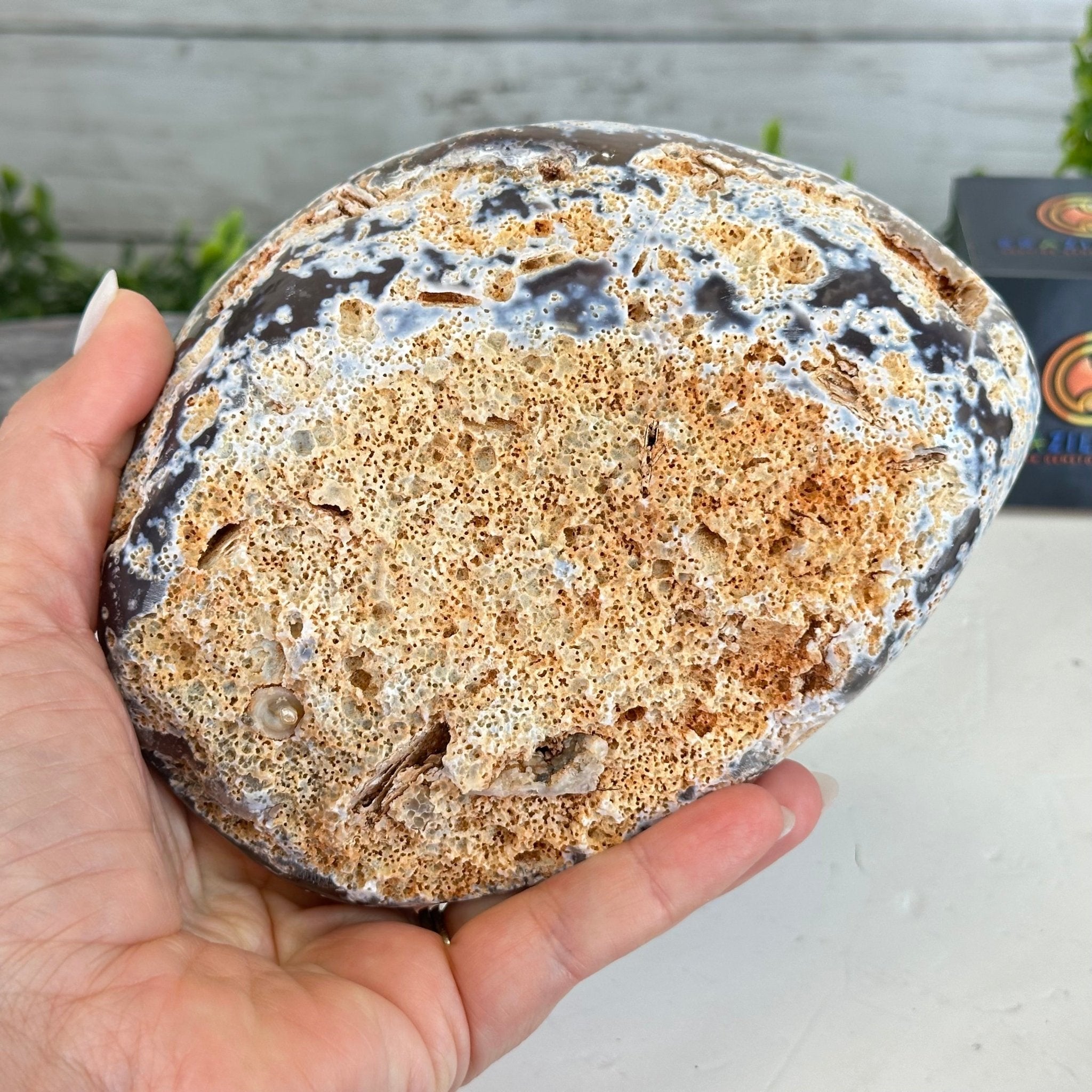 Quality Agate Geode "Jewelry Box", 3.6 lbs & 3.5" Tall #5251-0007 - Brazil GemsBrazil GemsQuality Agate Geode "Jewelry Box", 3.6 lbs & 3.5" Tall #5251-0007Agate Jewelry Boxes5251-0007