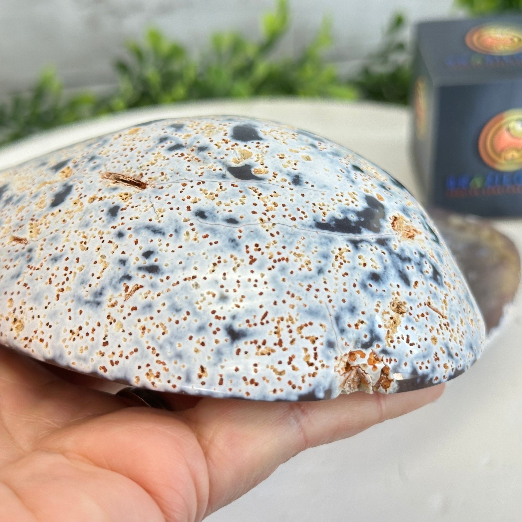 Quality Agate Geode "Jewelry Box", 3.6 lbs & 3.5" Tall #5251-0007 - Brazil GemsBrazil GemsQuality Agate Geode "Jewelry Box", 3.6 lbs & 3.5" Tall #5251-0007Agate Jewelry Boxes5251-0007