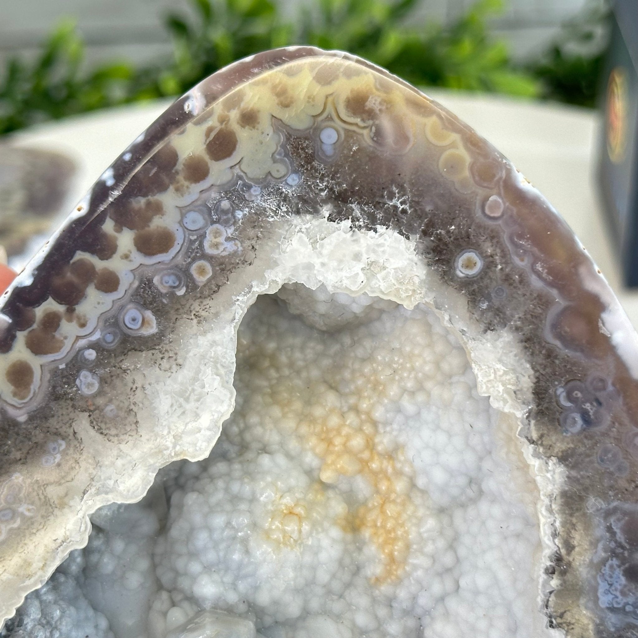 Quality Agate Geode "Jewelry Box", 3.6 lbs & 3.5" Tall #5251-0007 - Brazil GemsBrazil GemsQuality Agate Geode "Jewelry Box", 3.6 lbs & 3.5" Tall #5251-0007Agate Jewelry Boxes5251-0007