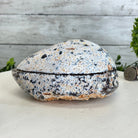 Quality Agate Geode "Jewelry Box", 3.6 lbs & 3.5" Tall #5251-0007 - Brazil GemsBrazil GemsQuality Agate Geode "Jewelry Box", 3.6 lbs & 3.5" Tall #5251-0007Agate Jewelry Boxes5251-0007