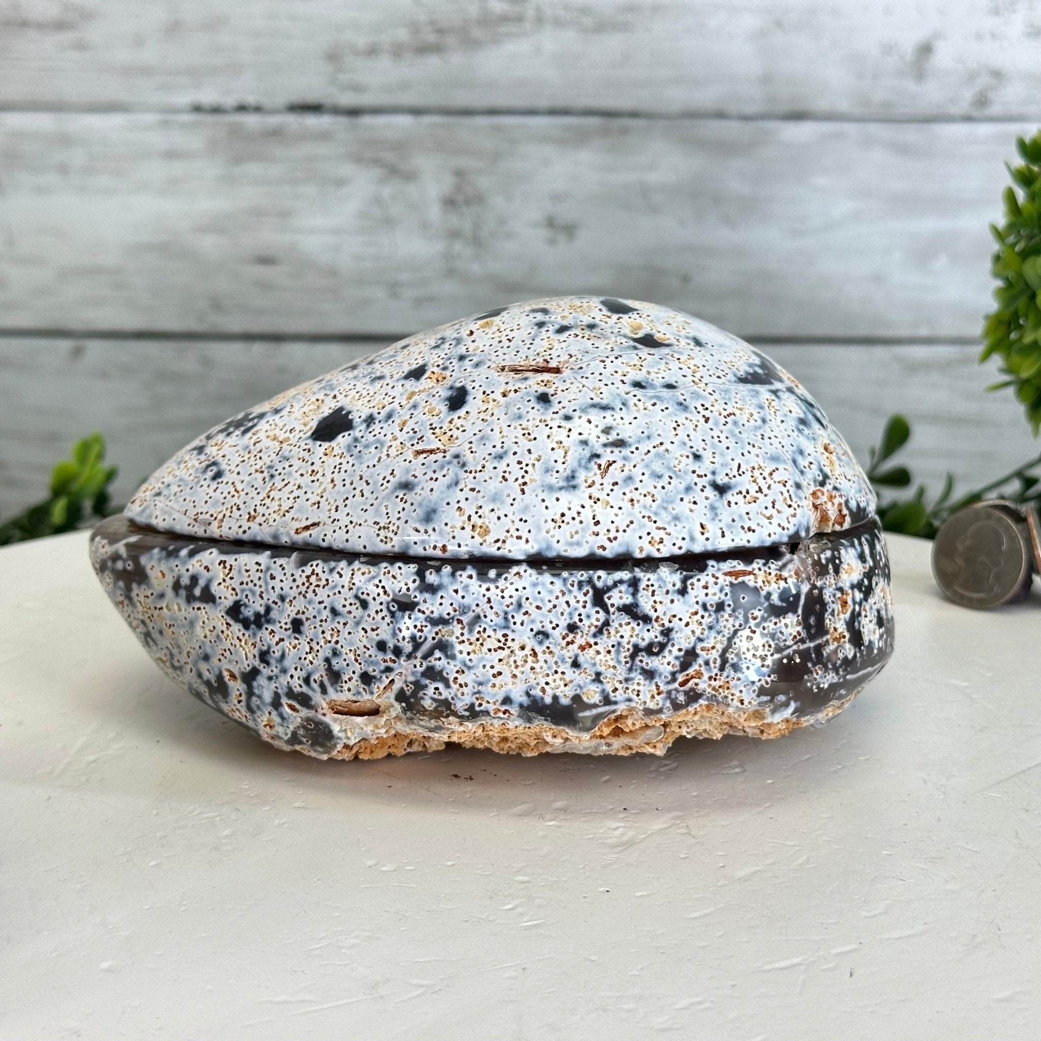 Quality Agate Geode "Jewelry Box", 3.6 lbs & 3.5" Tall #5251-0007 - Brazil GemsBrazil GemsQuality Agate Geode "Jewelry Box", 3.6 lbs & 3.5" Tall #5251-0007Agate Jewelry Boxes5251-0007