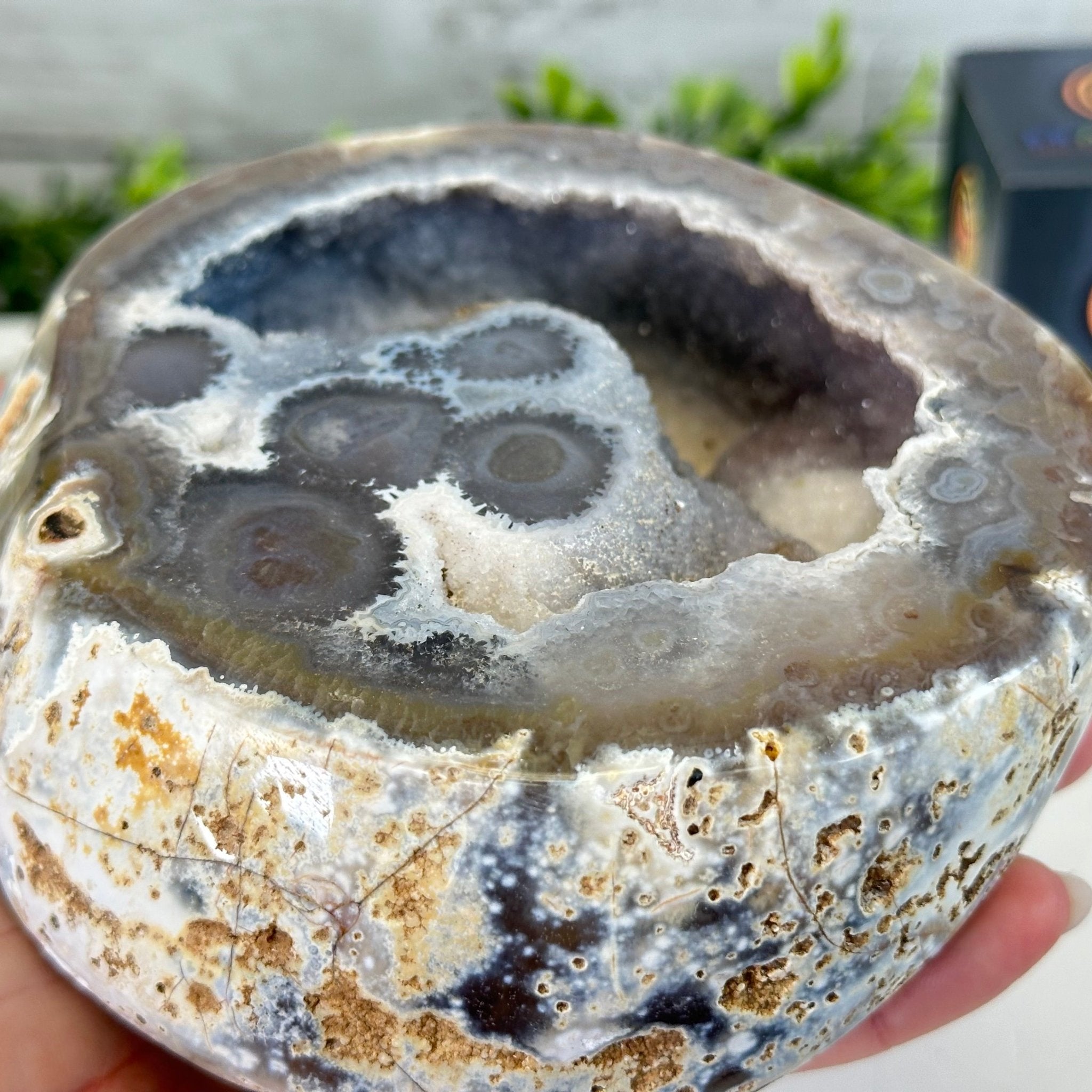 Quality Agate Geode "Jewelry Box", 4 lbs & 3.7" Tall #5251-0009 - Brazil GemsBrazil GemsQuality Agate Geode "Jewelry Box", 4 lbs & 3.7" Tall #5251-0009Agate Jewelry Boxes5251-0009