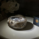 Quality Agate Geode "Jewelry Box", 4 lbs & 3.7" Tall #5251-0009 - Brazil GemsBrazil GemsQuality Agate Geode "Jewelry Box", 4 lbs & 3.7" Tall #5251-0009Agate Jewelry Boxes5251-0009
