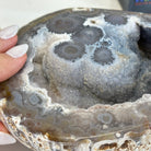 Quality Agate Geode "Jewelry Box", 4 lbs & 3.7" Tall #5251-0009 - Brazil GemsBrazil GemsQuality Agate Geode "Jewelry Box", 4 lbs & 3.7" Tall #5251-0009Agate Jewelry Boxes5251-0009