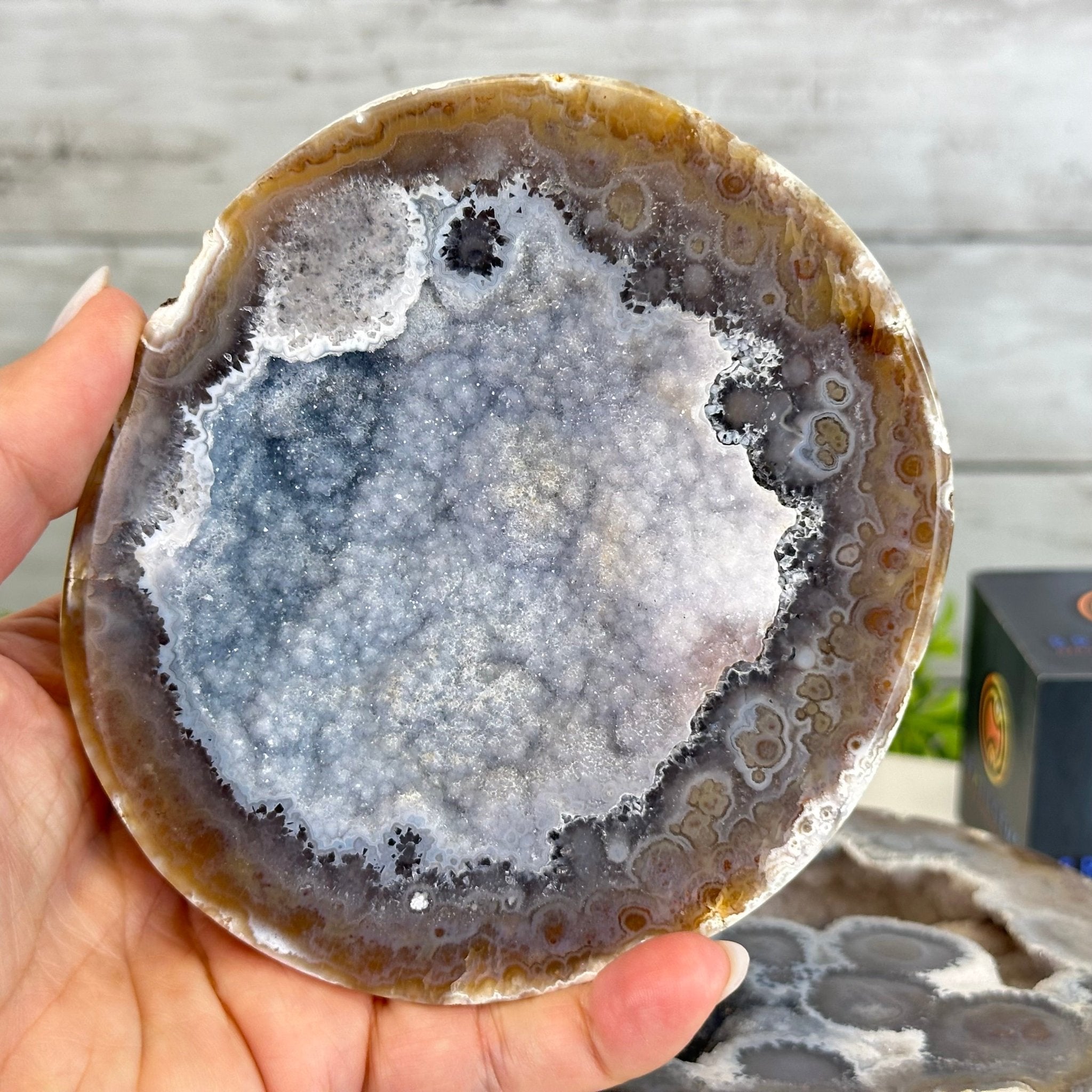 Quality Agate Geode "Jewelry Box", 4 lbs & 3.7" Tall #5251-0009 - Brazil GemsBrazil GemsQuality Agate Geode "Jewelry Box", 4 lbs & 3.7" Tall #5251-0009Agate Jewelry Boxes5251-0009