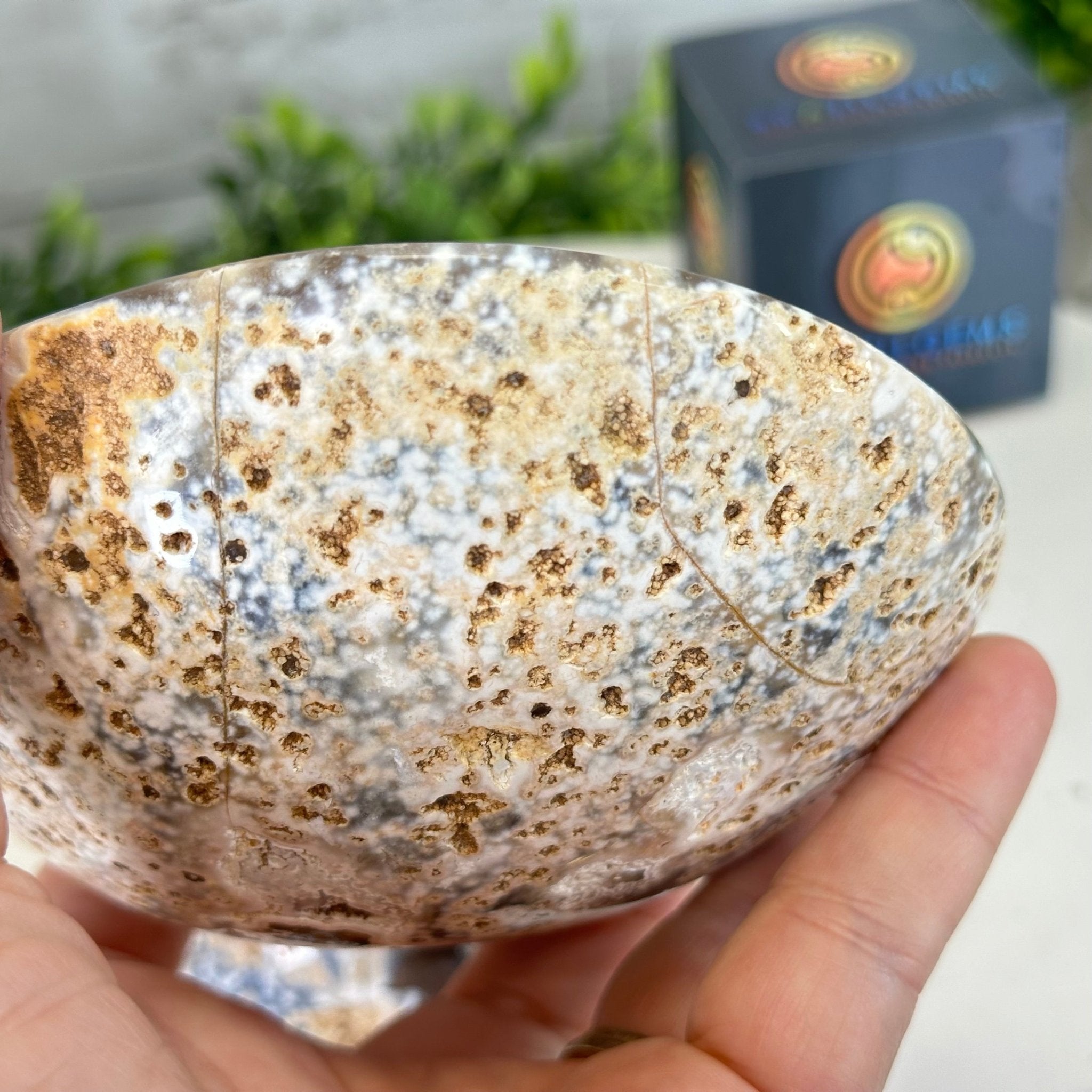 Quality Agate Geode "Jewelry Box", 4 lbs & 3.7" Tall #5251-0009 - Brazil GemsBrazil GemsQuality Agate Geode "Jewelry Box", 4 lbs & 3.7" Tall #5251-0009Agate Jewelry Boxes5251-0009