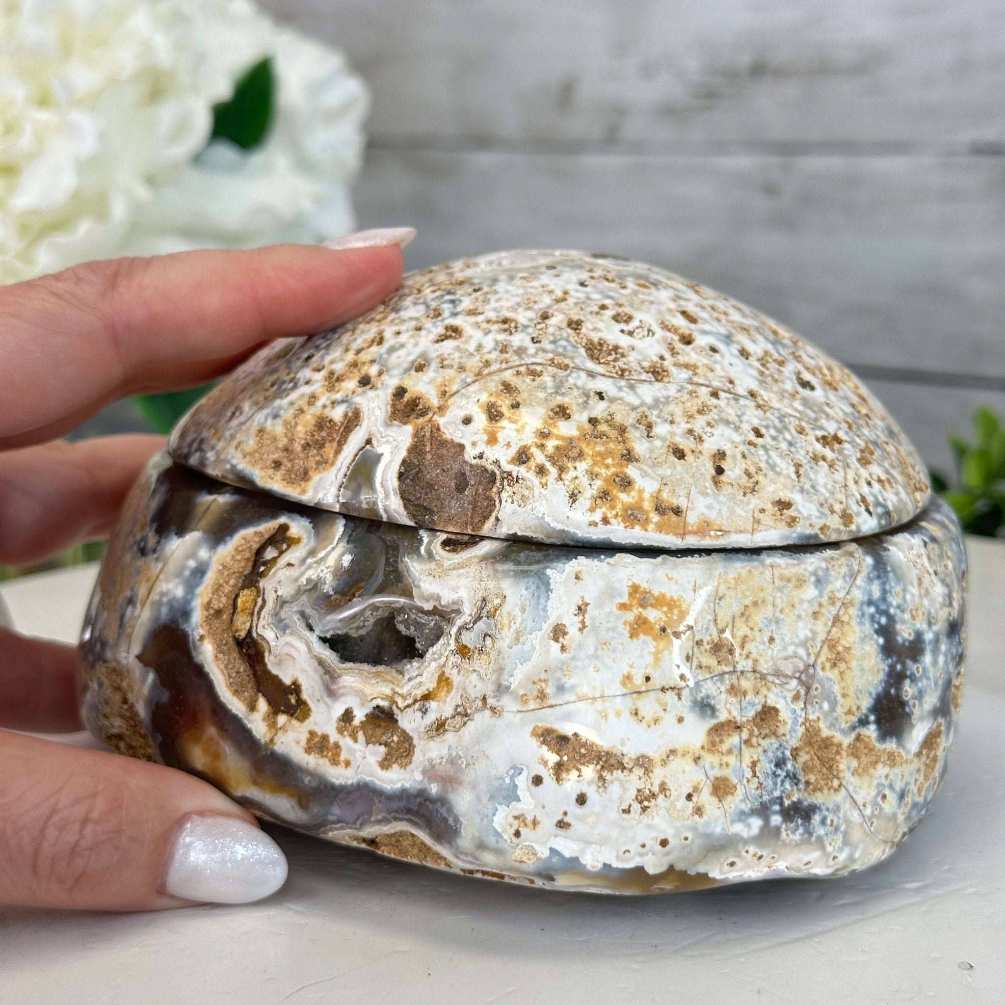Quality Agate Geode "Jewelry Box", 4 lbs & 3.7" Tall #5251-0009 - Brazil GemsBrazil GemsQuality Agate Geode "Jewelry Box", 4 lbs & 3.7" Tall #5251-0009Agate Jewelry Boxes5251-0009