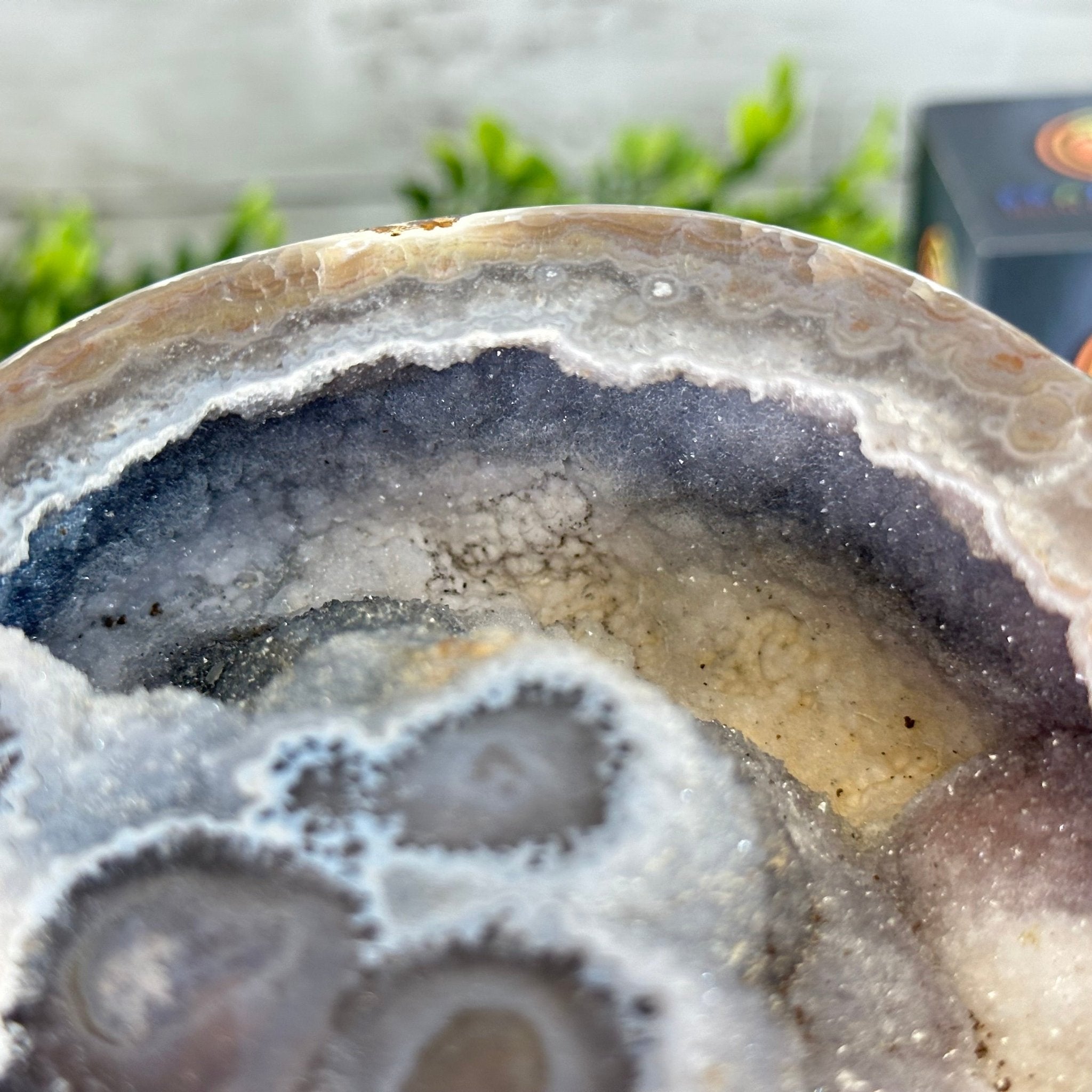 Quality Agate Geode "Jewelry Box", 4 lbs & 3.7" Tall #5251-0009 - Brazil GemsBrazil GemsQuality Agate Geode "Jewelry Box", 4 lbs & 3.7" Tall #5251-0009Agate Jewelry Boxes5251-0009