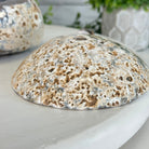 Quality Agate Geode "Jewelry Box", 4 lbs & 3.7" Tall #5251-0009 - Brazil GemsBrazil GemsQuality Agate Geode "Jewelry Box", 4 lbs & 3.7" Tall #5251-0009Agate Jewelry Boxes5251-0009