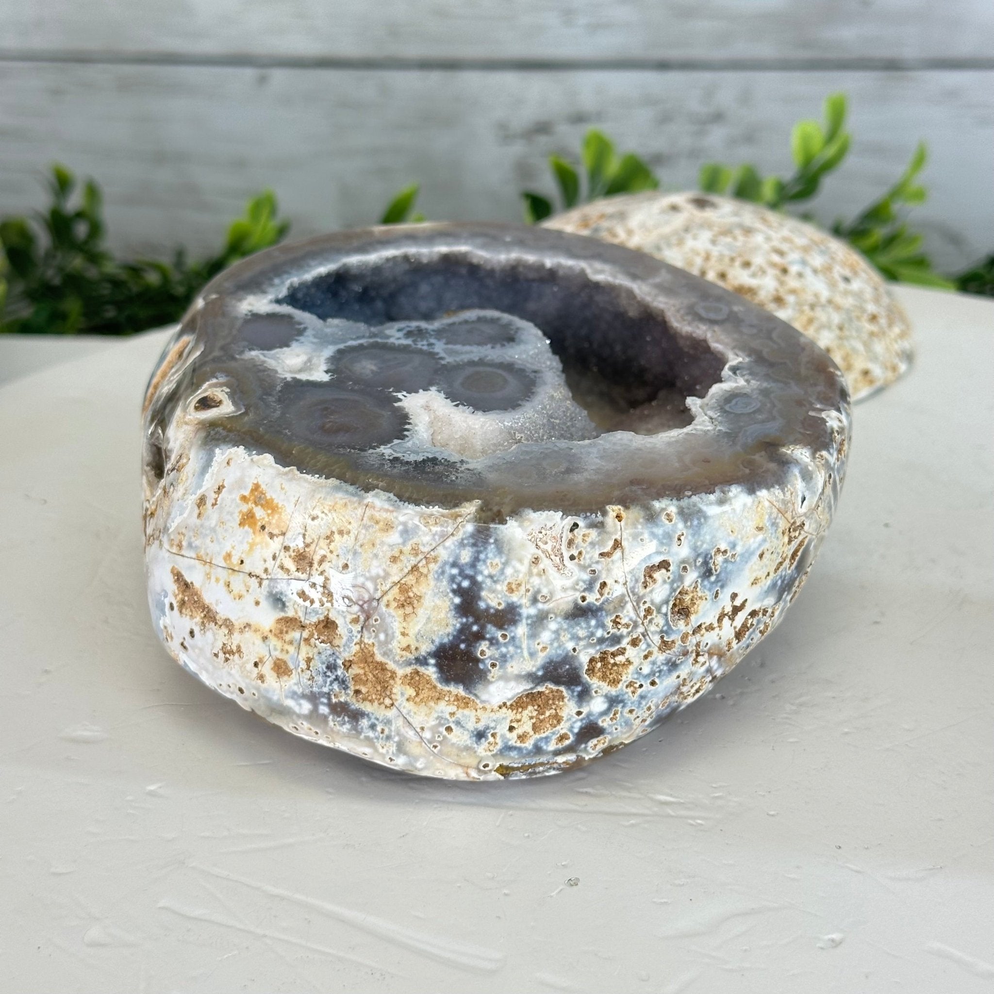 Quality Agate Geode "Jewelry Box", 4 lbs & 3.7" Tall #5251-0009 - Brazil GemsBrazil GemsQuality Agate Geode "Jewelry Box", 4 lbs & 3.7" Tall #5251-0009Agate Jewelry Boxes5251-0009
