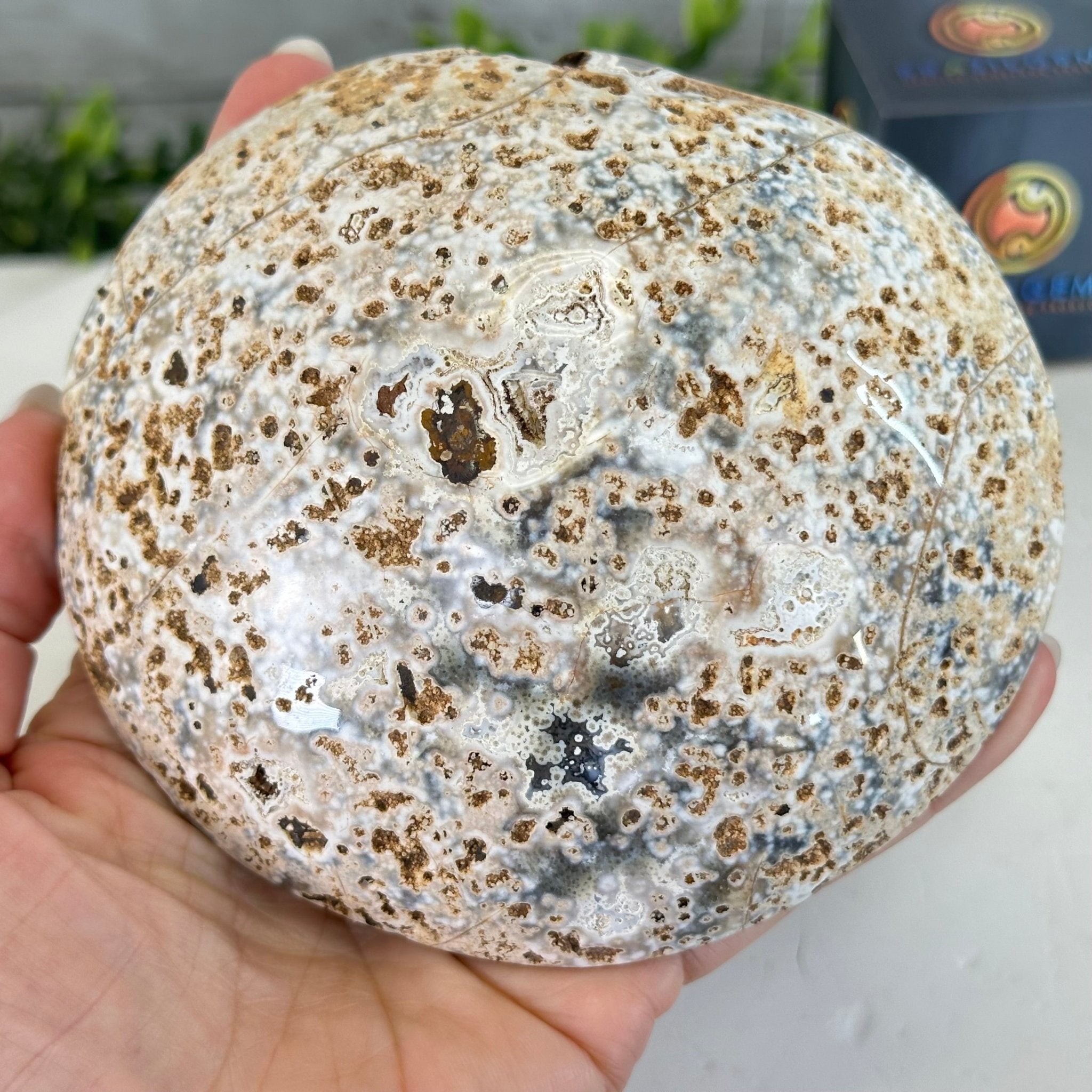 Quality Agate Geode "Jewelry Box", 4 lbs & 3.7" Tall #5251-0009 - Brazil GemsBrazil GemsQuality Agate Geode "Jewelry Box", 4 lbs & 3.7" Tall #5251-0009Agate Jewelry Boxes5251-0009