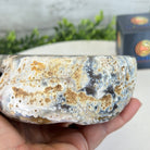 Quality Agate Geode "Jewelry Box", 4 lbs & 3.7" Tall #5251-0009 - Brazil GemsBrazil GemsQuality Agate Geode "Jewelry Box", 4 lbs & 3.7" Tall #5251-0009Agate Jewelry Boxes5251-0009