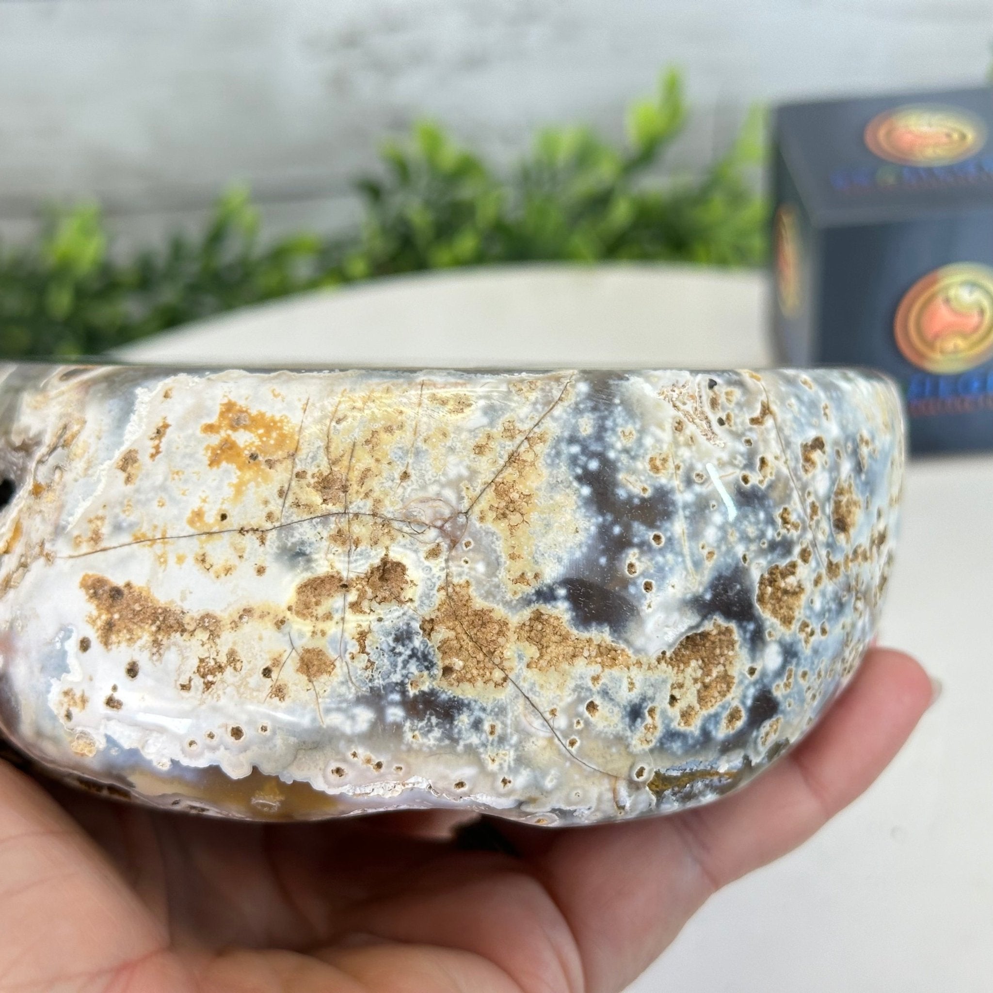 Quality Agate Geode "Jewelry Box", 4 lbs & 3.7" Tall #5251-0009 - Brazil GemsBrazil GemsQuality Agate Geode "Jewelry Box", 4 lbs & 3.7" Tall #5251-0009Agate Jewelry Boxes5251-0009
