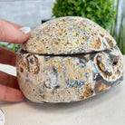 Quality Agate Geode "Jewelry Box", 4 lbs & 3.7" Tall #5251-0009 - Brazil GemsBrazil GemsQuality Agate Geode "Jewelry Box", 4 lbs & 3.7" Tall #5251-0009Agate Jewelry Boxes5251-0009