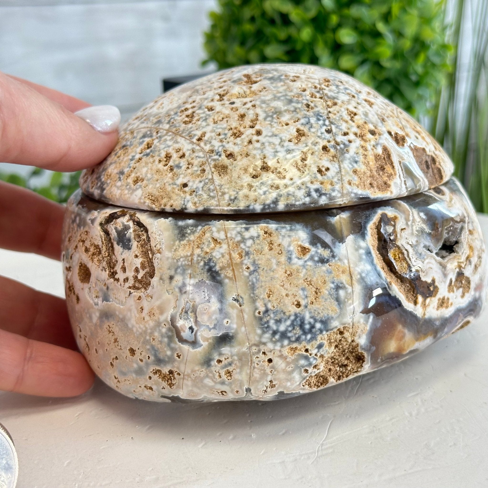 Quality Agate Geode "Jewelry Box", 4 lbs & 3.7" Tall #5251-0009 - Brazil GemsBrazil GemsQuality Agate Geode "Jewelry Box", 4 lbs & 3.7" Tall #5251-0009Agate Jewelry Boxes5251-0009