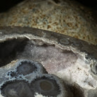 Quality Agate Geode "Jewelry Box", 4 lbs & 3.7" Tall #5251-0009 - Brazil GemsBrazil GemsQuality Agate Geode "Jewelry Box", 4 lbs & 3.7" Tall #5251-0009Agate Jewelry Boxes5251-0009
