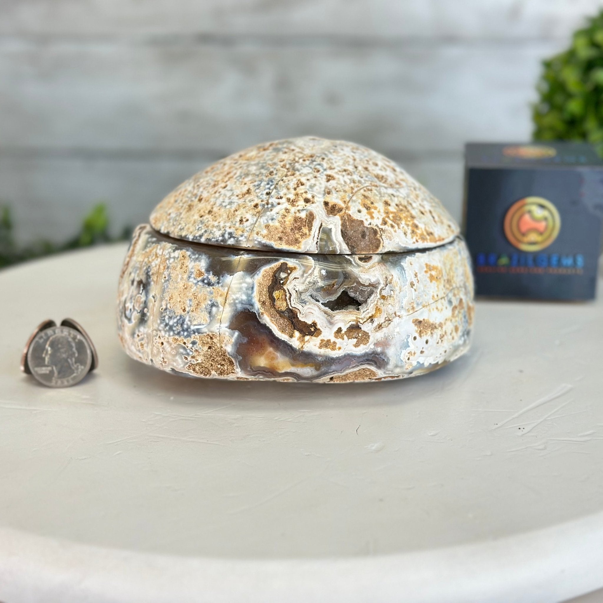 Quality Agate Geode "Jewelry Box", 4 lbs & 3.7" Tall #5251-0009 - Brazil GemsBrazil GemsQuality Agate Geode "Jewelry Box", 4 lbs & 3.7" Tall #5251-0009Agate Jewelry Boxes5251-0009