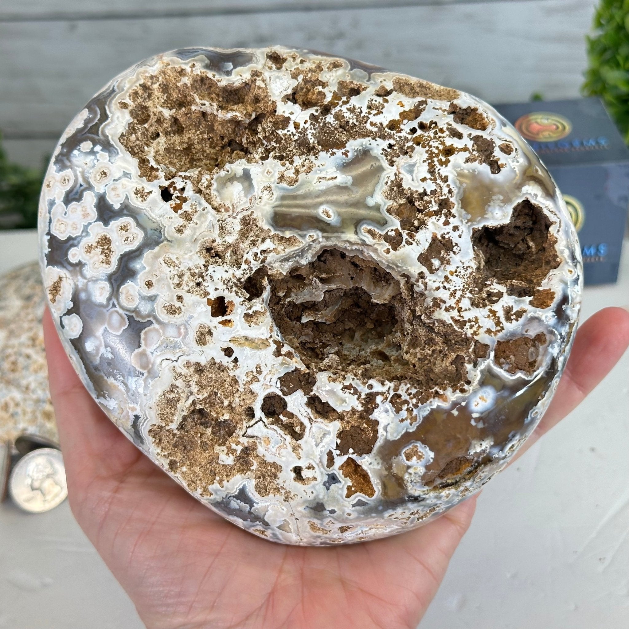 Quality Agate Geode "Jewelry Box", 4 lbs & 3.7" Tall #5251-0009 - Brazil GemsBrazil GemsQuality Agate Geode "Jewelry Box", 4 lbs & 3.7" Tall #5251-0009Agate Jewelry Boxes5251-0009