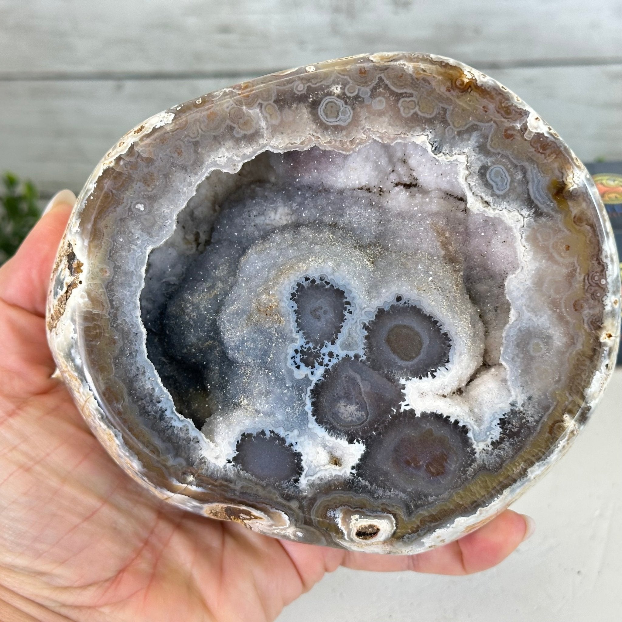 Quality Agate Geode "Jewelry Box", 4 lbs & 3.7" Tall #5251-0009 - Brazil GemsBrazil GemsQuality Agate Geode "Jewelry Box", 4 lbs & 3.7" Tall #5251-0009Agate Jewelry Boxes5251-0009