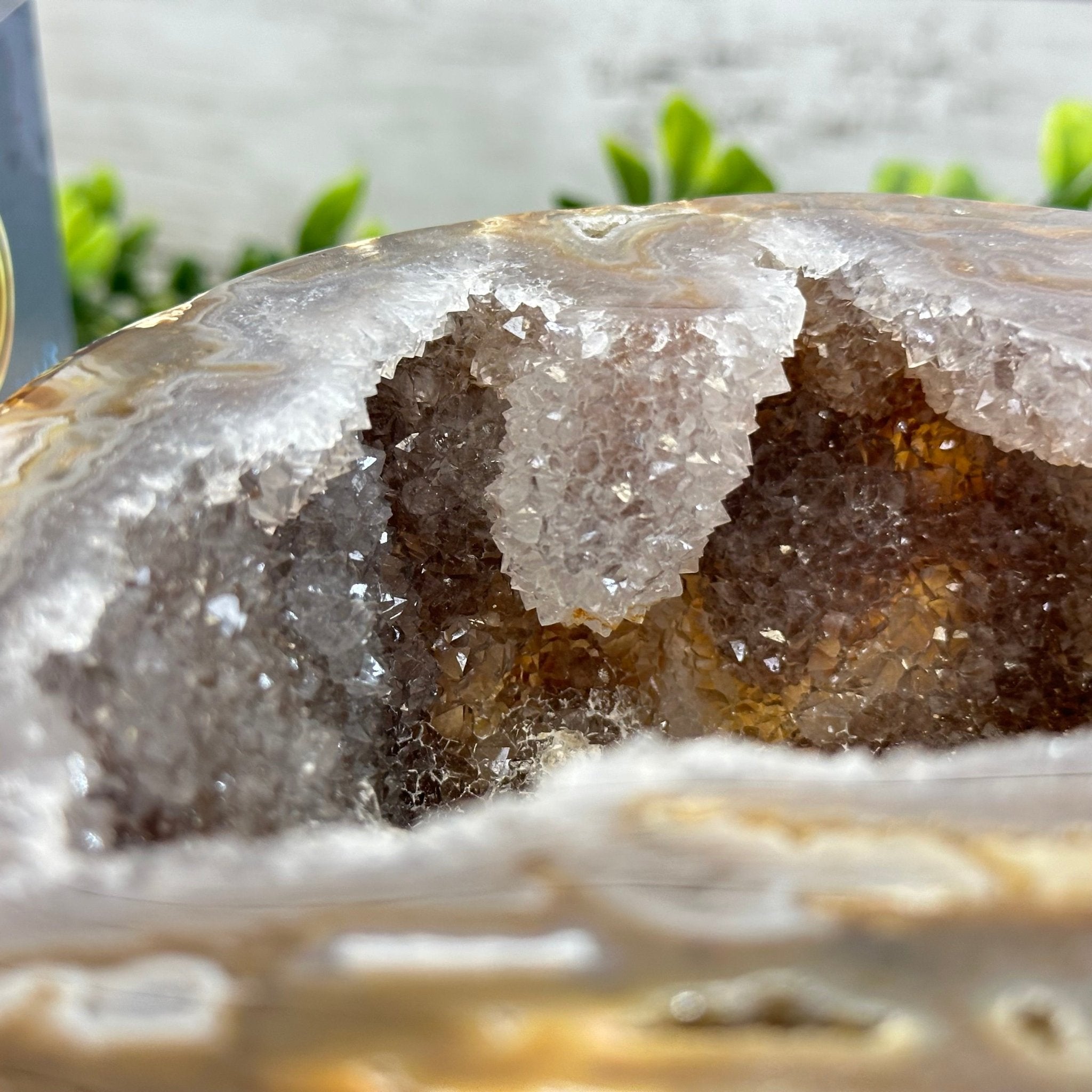 Quality Agate Geode "Jewelry Box", 4.9 lbs & 4.3" Tall #5251-0010 - Brazil GemsBrazil GemsQuality Agate Geode "Jewelry Box", 4.9 lbs & 4.3" Tall #5251-0010Agate Jewelry Boxes5251-0010