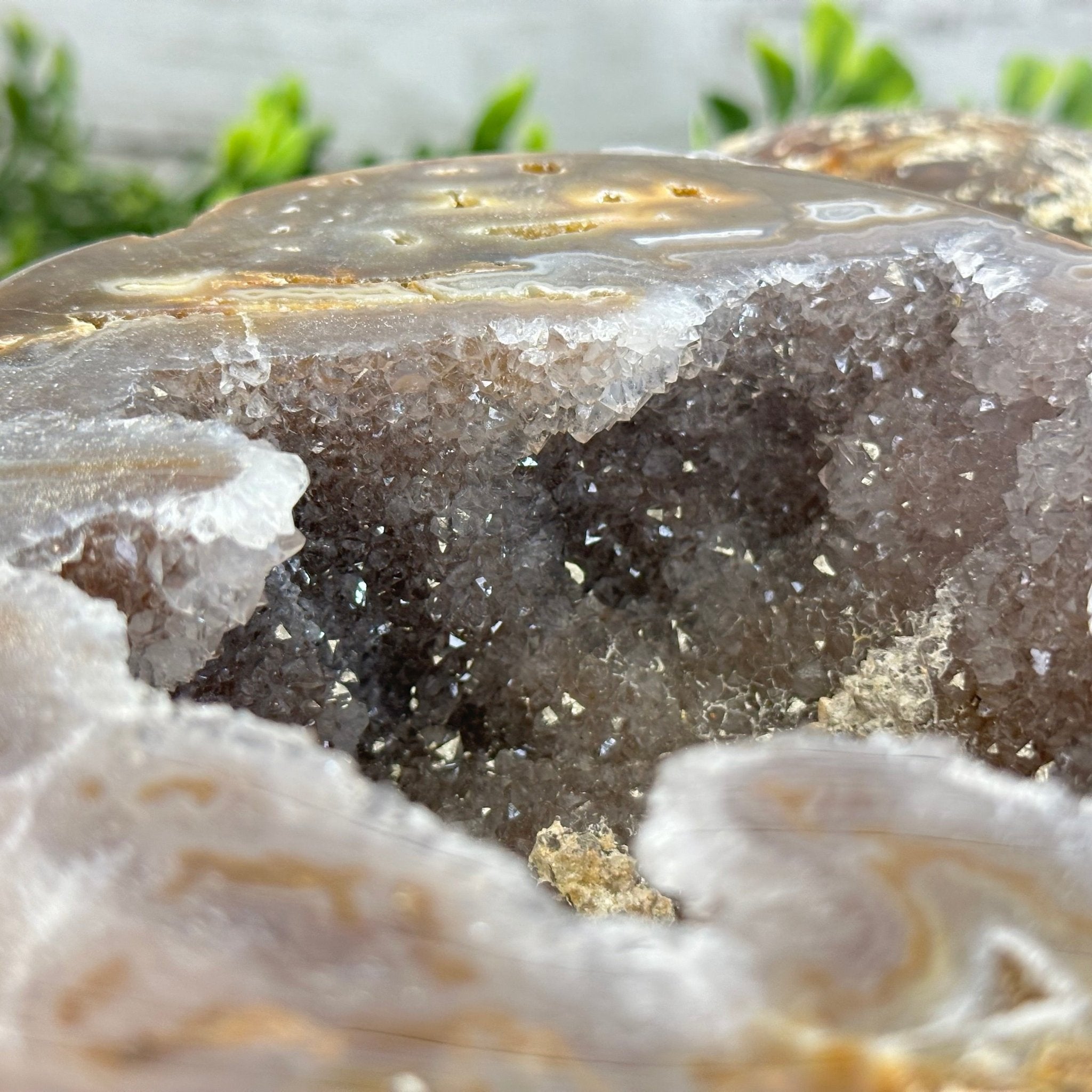 Quality Agate Geode "Jewelry Box", 4.9 lbs & 4.3" Tall #5251-0010 - Brazil GemsBrazil GemsQuality Agate Geode "Jewelry Box", 4.9 lbs & 4.3" Tall #5251-0010Agate Jewelry Boxes5251-0010